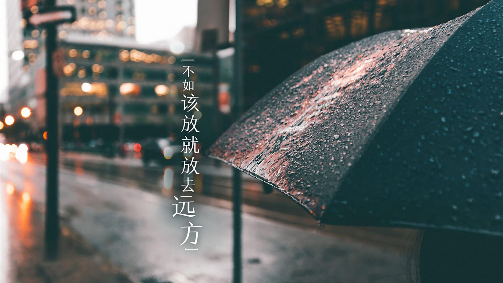 _可再生能源动力长跑：绿色运动新标杆_，可再生能源和绿色能源
