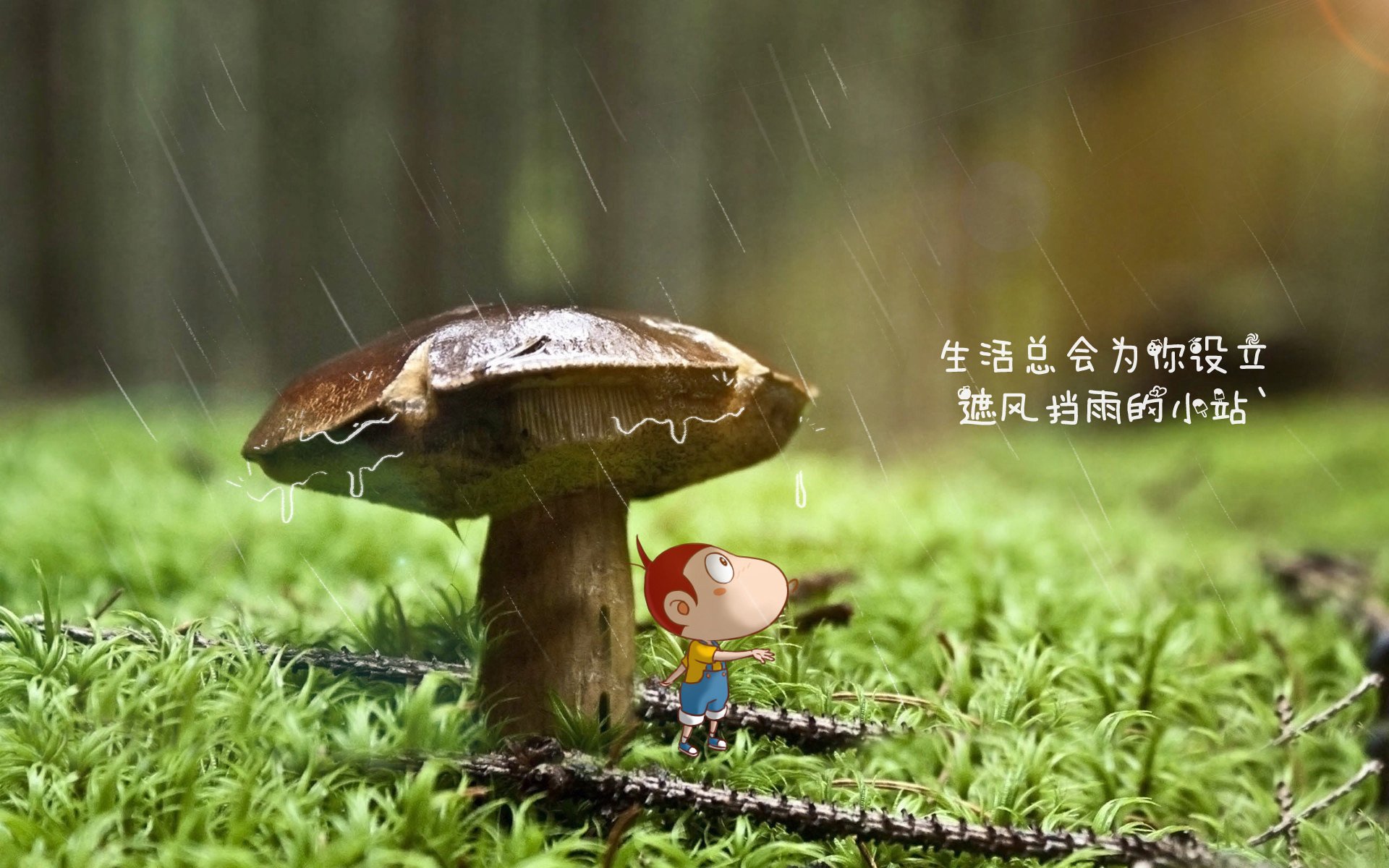 世俱杯对阵表-“青训联盟多方合作，形成行业发展新格局”，青训联赛
