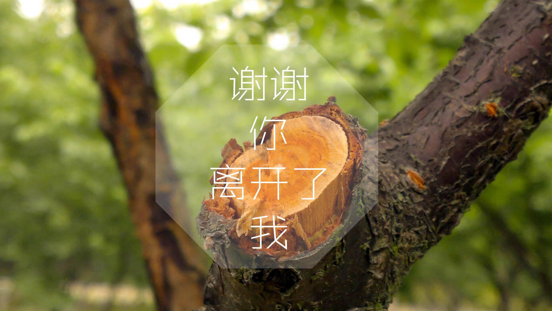 2025足球世俱杯官网-产业链纵览：硬件、内容、赛事，打造完整的电竞生态圈，电竞行业产业链的构成是什么