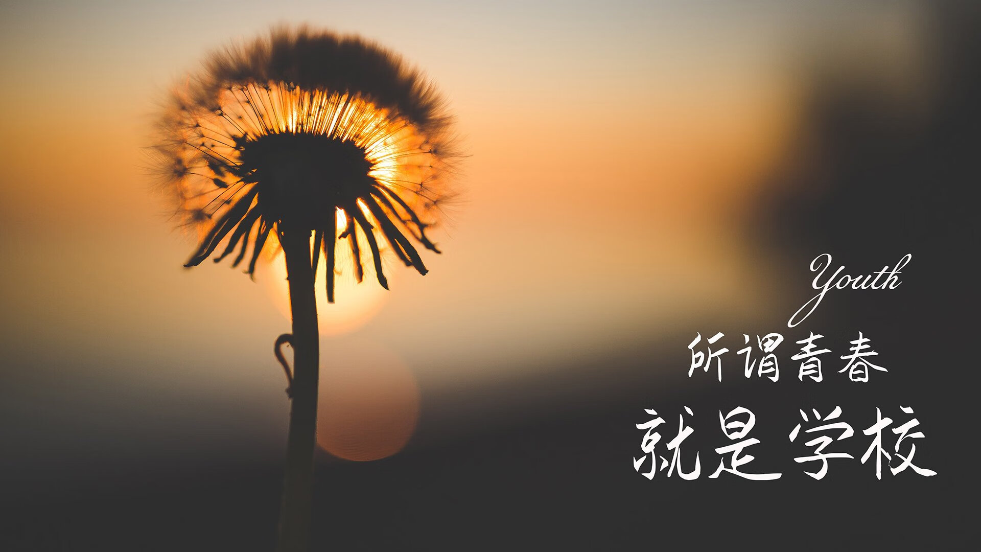 巴黎圣日耳曼继续大手笔：引入多名欧洲明星球员，巴黎圣日耳曼队的球星