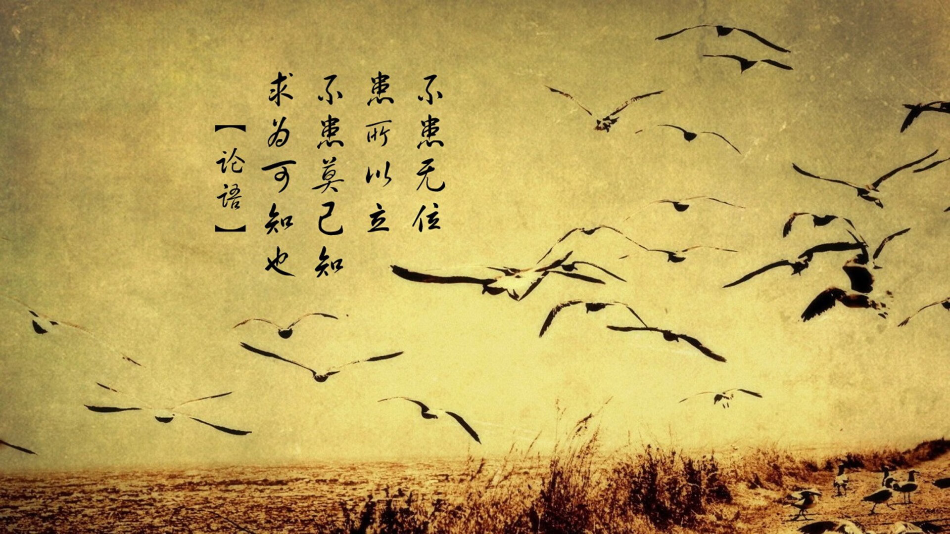 世俱杯-影响深远：联盟在青少年推广中的创新策略，影响联盟官网