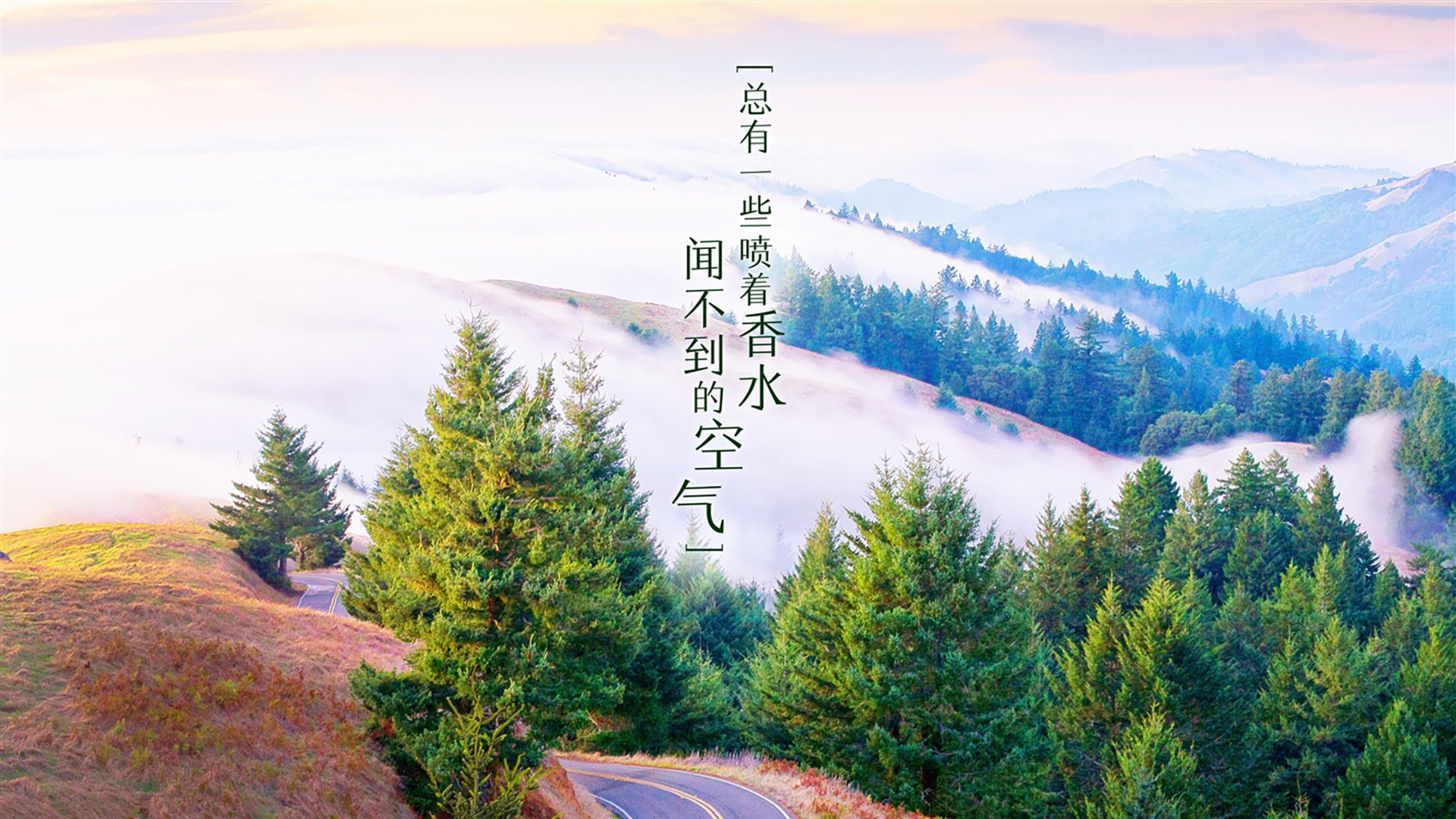 新兴电竞游戏崭露头角，市场竞争日趋激烈，电竞新平台