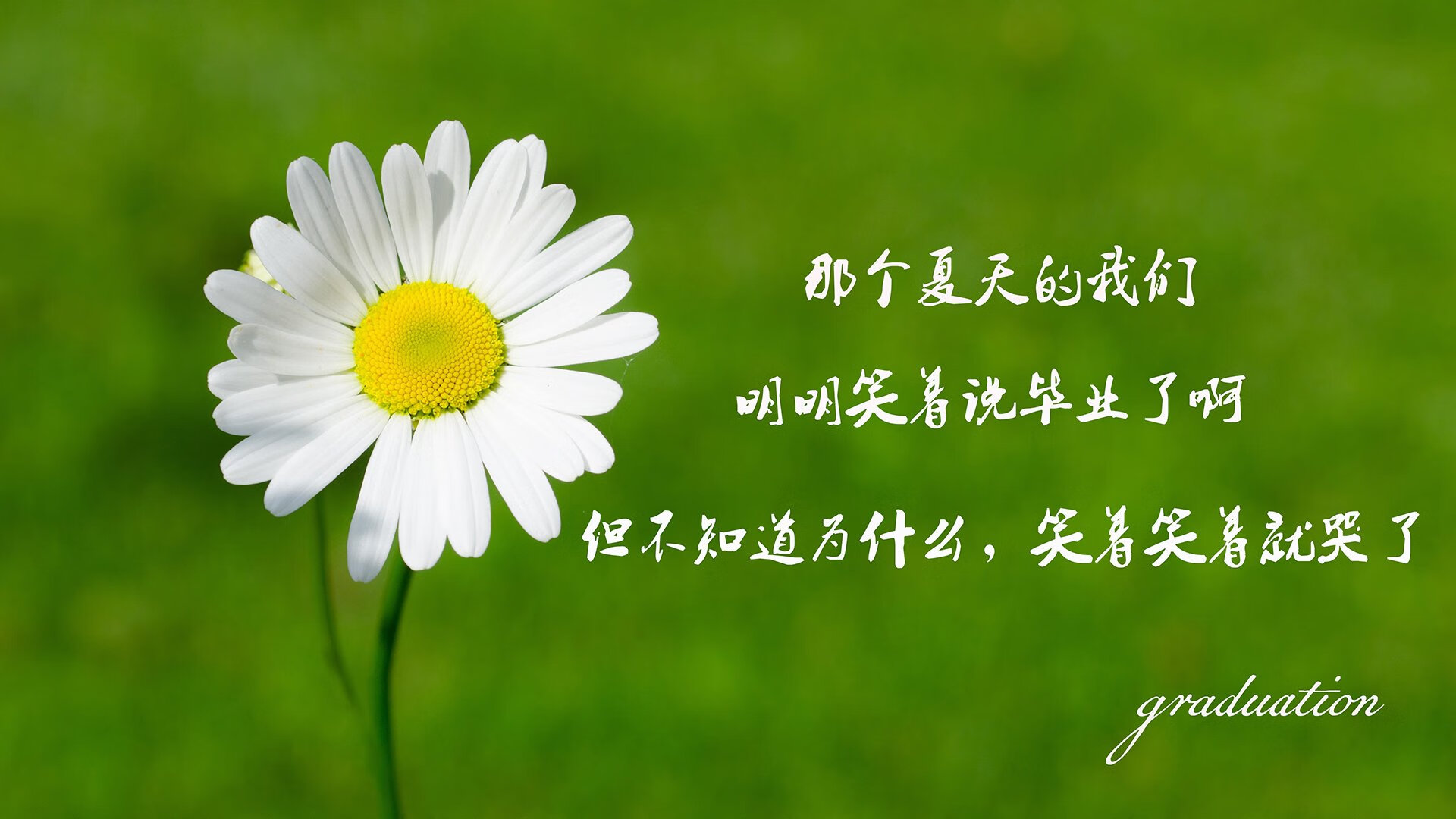 世俱杯入口-终极“绝杀大侠”：最令人感动的欧冠收官瞬间，绝杀集锦