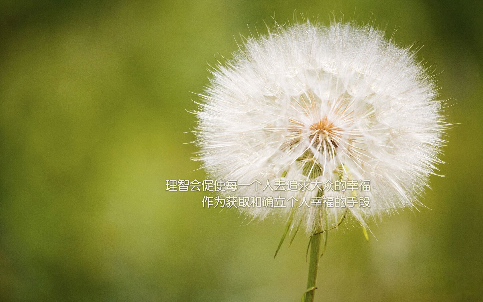 英超豪门大逆转，精彩配合和关键扑救成为亮点，英超豪门爆冷