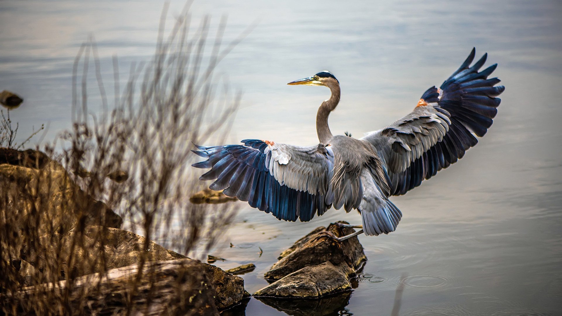 势均力敌！球队实力相当打响激烈角逐，球队势力榜