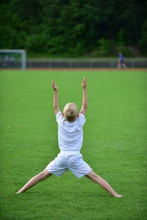 世俱杯网址-高校运动训练计划动态调整机制研究，运动训练调控