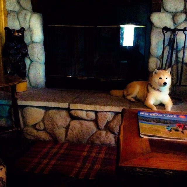 “2025世界运动会：四川省体育馆拳击赛场上演世界顶级拳手对决”