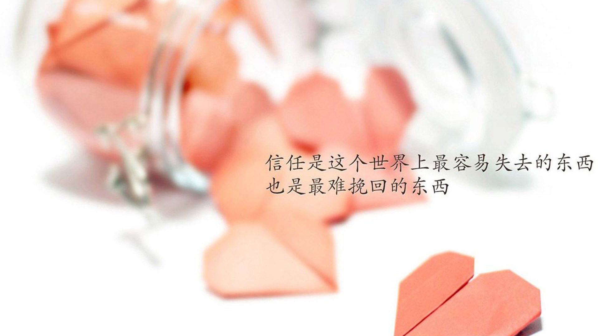 世界俱乐部杯-东亚杯中国女足夺冠 球迷激情四射，中国女足东亚杯首胜